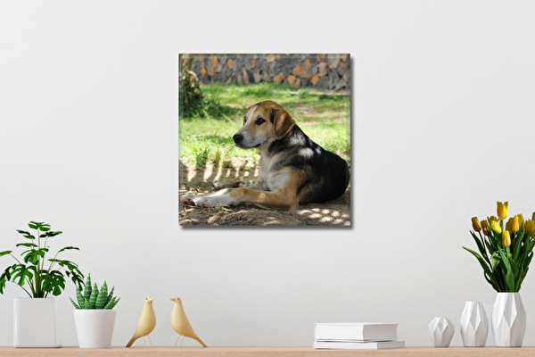 Fotoobraz 40x40 cm z własnego zdjęcia