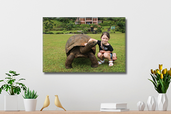Fotoobraz 60x40 cm z własnego zdjęcia