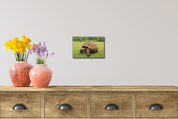 Fotoobraz 15x10 cm z własnego zdjęcia